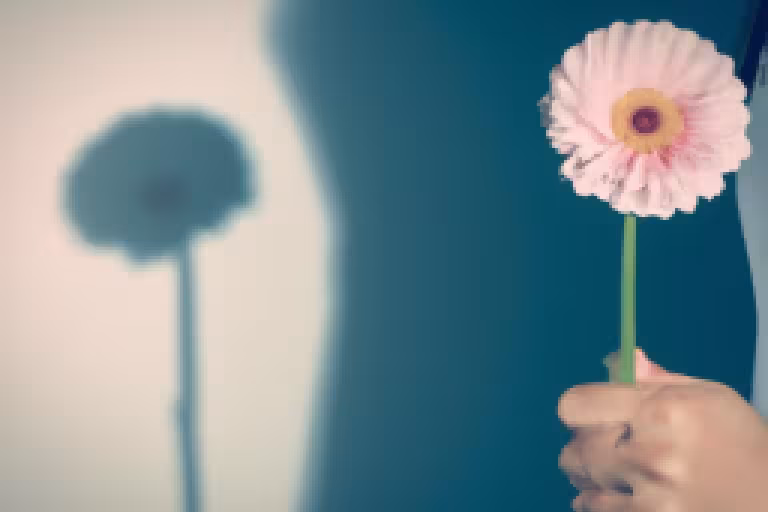 Empowering Women's Health: Challenges and Triumphs